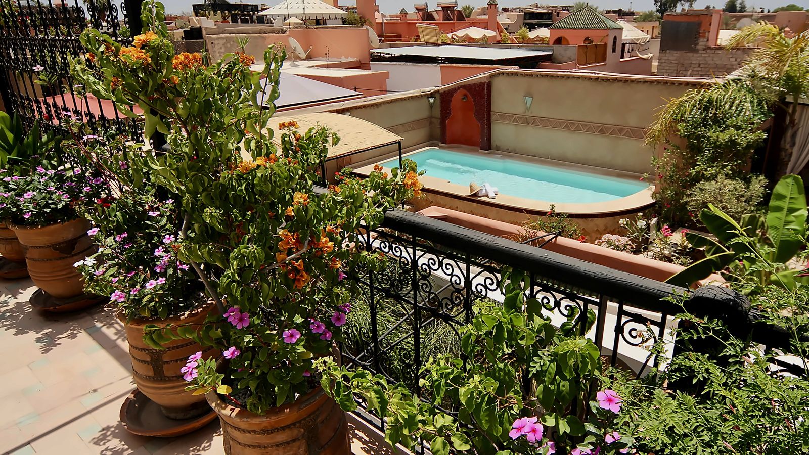 Day Pass — piscine et solarium